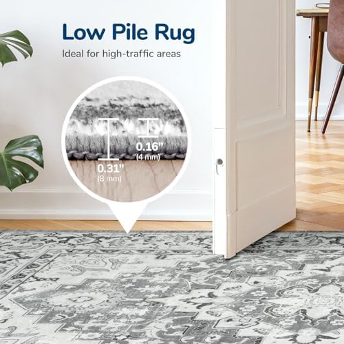 Lessymo Area Rugs 7x10 for Living Room, Washable Rugs Non-Slip, Grey White