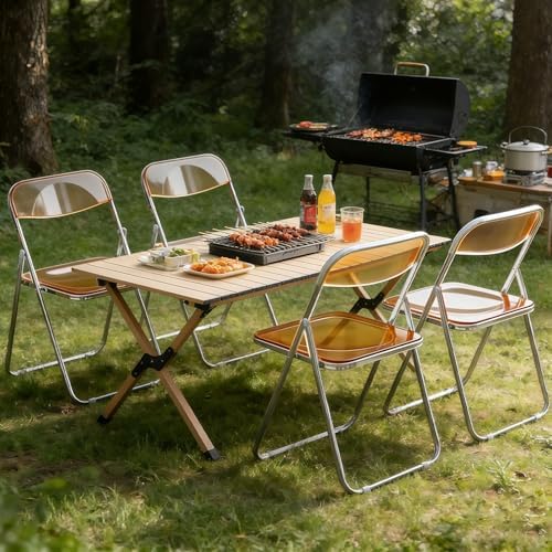 2 Pack Acrylic Folding Chair,Brown
