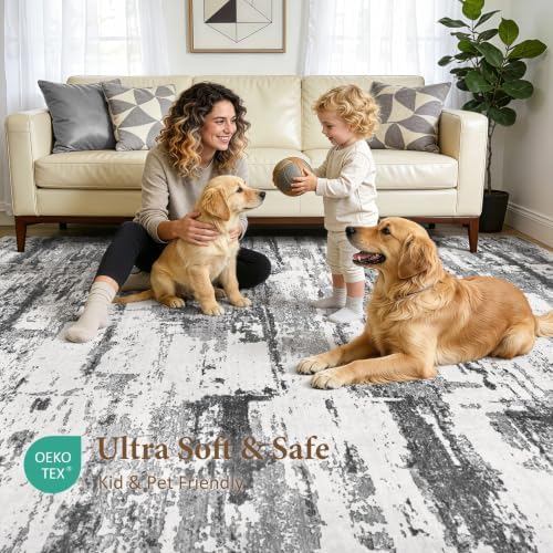 5x7 Area Rugs Abstract Washable Living Room Rug, Black Grey