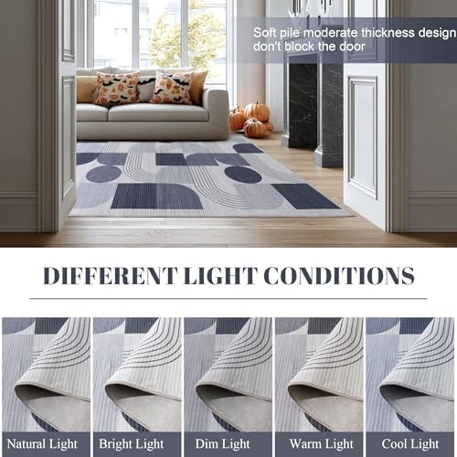 Soft Modern Geometric Abstract Large Machine Washable 5x7 Area Rug