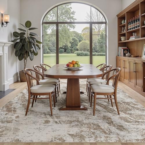 DMOYEST 8x10 Washable Area Rug Abstract Modern Non-Slip Indoor Carpet