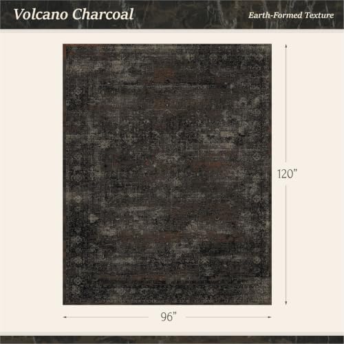 TALANOVA Black Farmhouse Washable 8x10 Area Rugs for Living Room, Dark Charco...