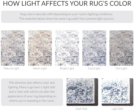 SAFAVIEH Madison Area Rug 8'x10', Transitional White & Royal Blue...