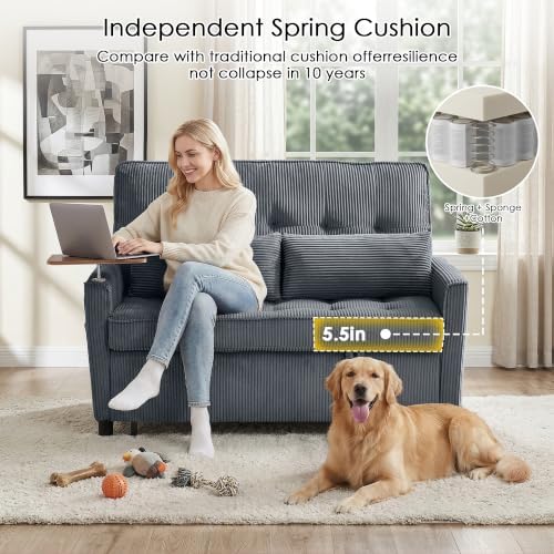 55'' Sleeper Sofa Bed, Convertible Pull Out Couch(Darkgrey)
