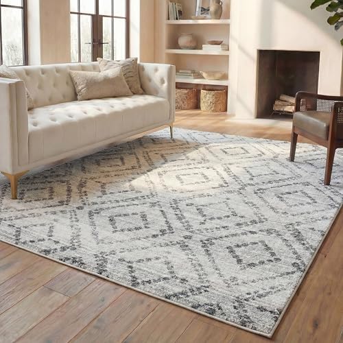 SAFAVIEH Adirondack Area Rug 8'x10', Boho Light Grey & Grey ADR131C
