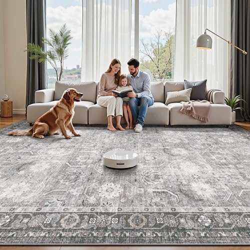 8x10 Area Rugs, Soft Non Slip Low Pile Washable Rug, Boho Modern Rug for Livi...