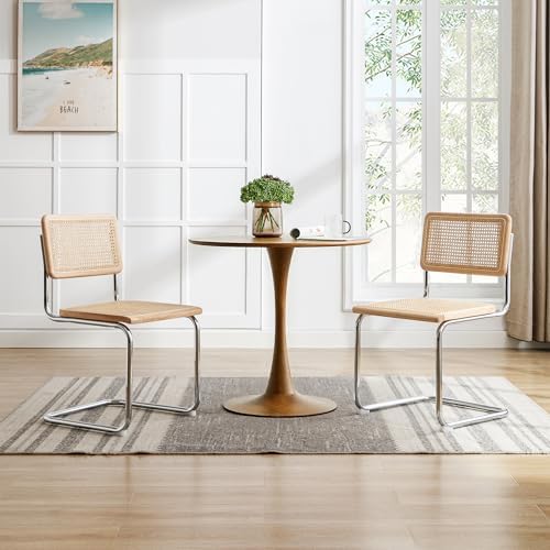 Rattan Cantilever Dining Chairs Set of 2, Boho Modern Dining Chairs with Ratt...