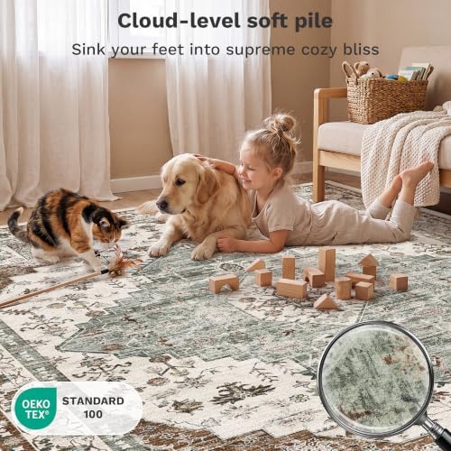 LIVELYGLOW 5x7 Washable Area Rug for Living Room, Large Carpet