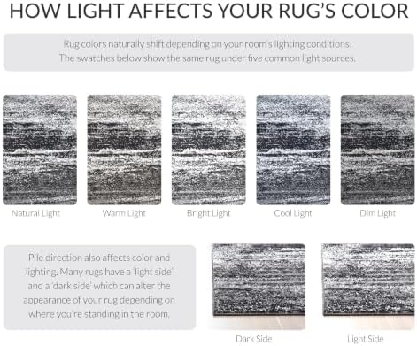 SAFAVIEH Adirondack Area Rug 8'x10', Modern Silver & Black ADR112A