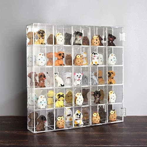 Ikee Design Acrylic 25-Compartment Display with Mirrored Back Case Cabinet