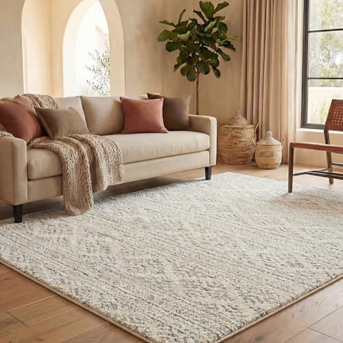 SAFAVIEH Tulum Area Rug 8x10, Large Ivory & Grey TUL272A
