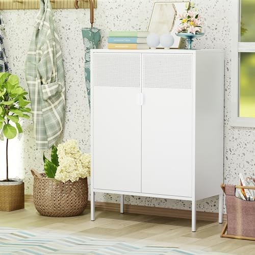Washsemba 2 Mesh Door Metal Storage Cabinet with Adjustable Shelves, Multipur...