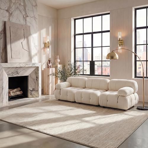 SAFAVIEH Vision Area Rug 6x9, Modern Tonal Cream VSN606F