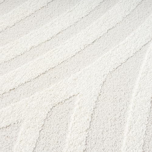 Abani Nomad Cream Tone-on-Tone Area Rug 6' x 9' for Living Room, Bedr...