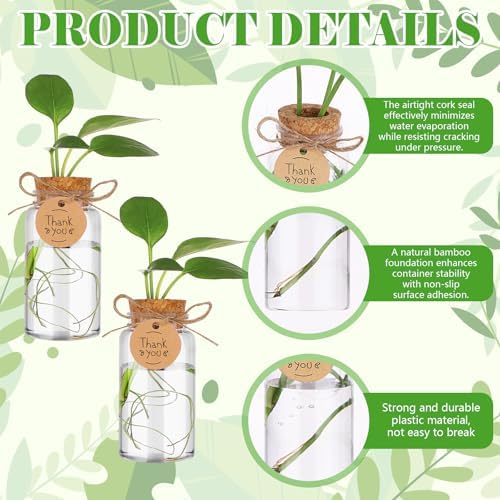 36 Packs Plant Propagation Stations with Hole Lid Clear Plastic Cultivation B...