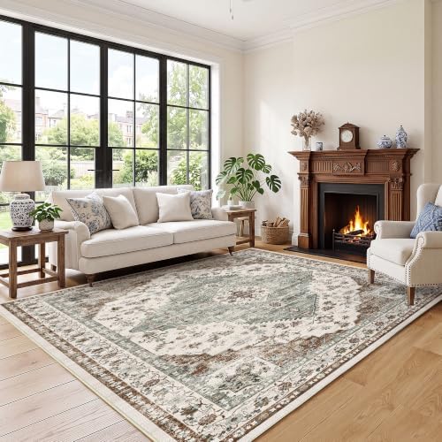 LIVELYGLOW 5x7 Washable Area Rug for Living Room, Large Carpet