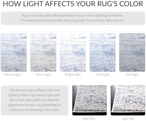 SAFAVIEH Amelia Area Rug 8'x10', Modern Ivory & Blue ALA700A