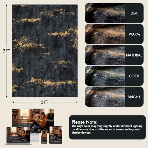Fixwal Washable 5x7 Area Rug for Living Room, Non-Slip, Black/Gold