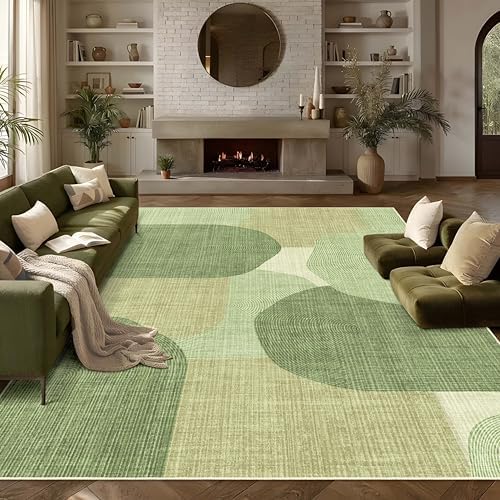 Large Area Rugs 8x10 for Living Room Mid Century Modern Washable