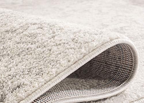 SAFAVIEH Area Rug 8x10 - Adirondack Collection - Large - Ivory & Silver, ...