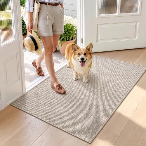 LUMI Ultra Thin Indoor Door Mat 32"x48", Entrance Doormat, Beige