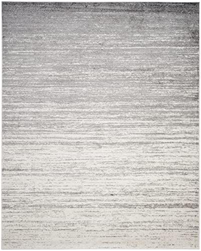 SAFAVIEH Adirondack Area Rug 8x10, Large Ivory & Silver ADR113B