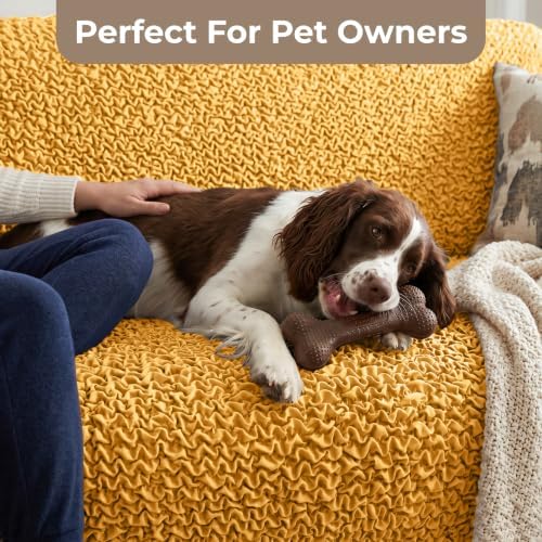 Premium Stretch Couch Covers for Sofa - Sofa Chair Cover Washable, Dogs &...