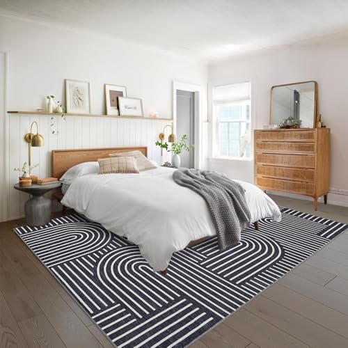 ROYHOME Modern Washable Rug 6x9 Area Rugs for Living Room Non Slip, Black