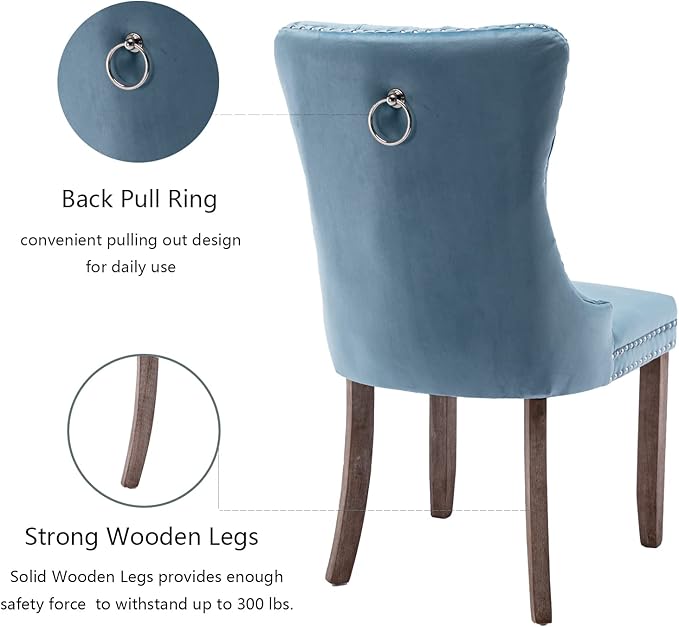 Upholstered Dining Chairs Set of 2, Velvet Dining Room Chairs with Back Ring ...