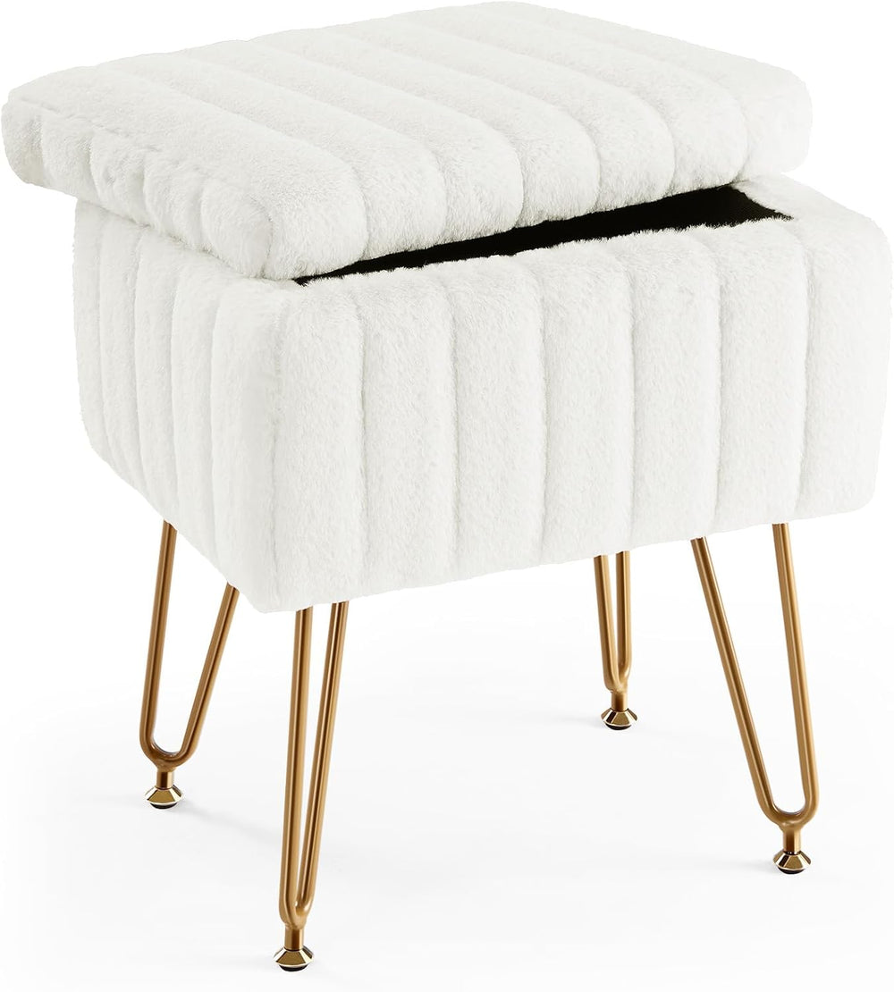 DUMOS Vanity Stool Chair, Ottoman with Storage for Living Room, Bedroom
