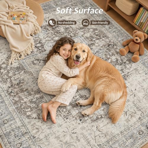 Tortania Area Rug 9x12 Living Room Rug Washable Soft Brown/Blue