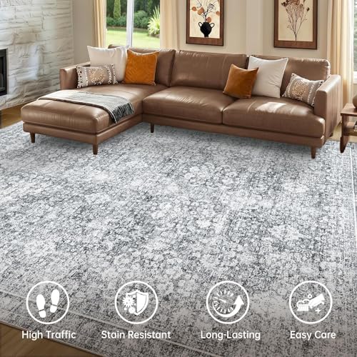 Sasttie 4x6 Area Rugs, Ultra-Soft Washable Rug for Living Room, Light Grey