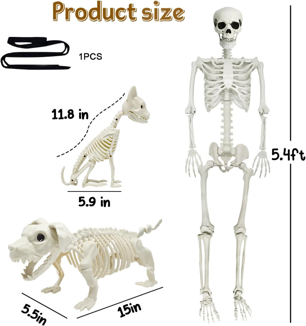 5.4Ft Posable Halloween Skeleton with Dog Cat Skeleton for Halloween Decor