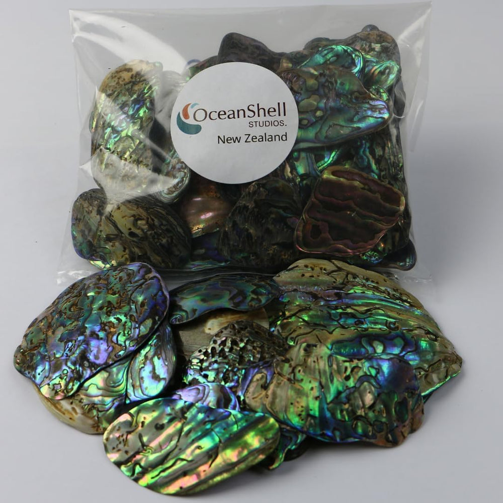 Abalone (Pāua) Shell Pieces-7.05oz Pack-for Crafts, Jewelry Making, Resin Art...