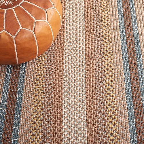 SAFAVIEH Braided Indoor/Outdoor Washable Area Rug 4'x6', Brown BRD313A