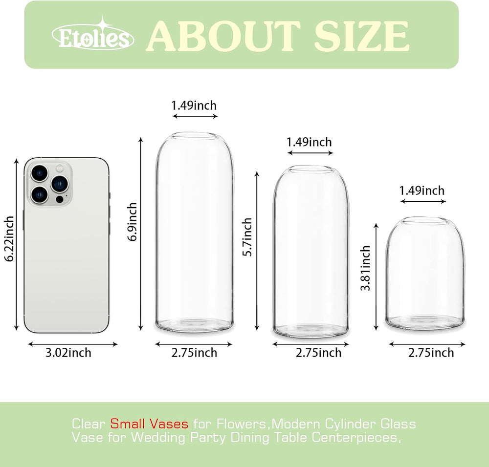 Etolies Glass Bud Vases in Bulk Set of 12, Clear Small Vases for Flowers,Mode...