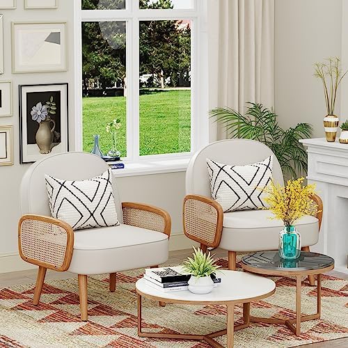 Aklaus Mid Century Modern Accent Chairs Set of 2 Upholstered Rattan Faux Leat...