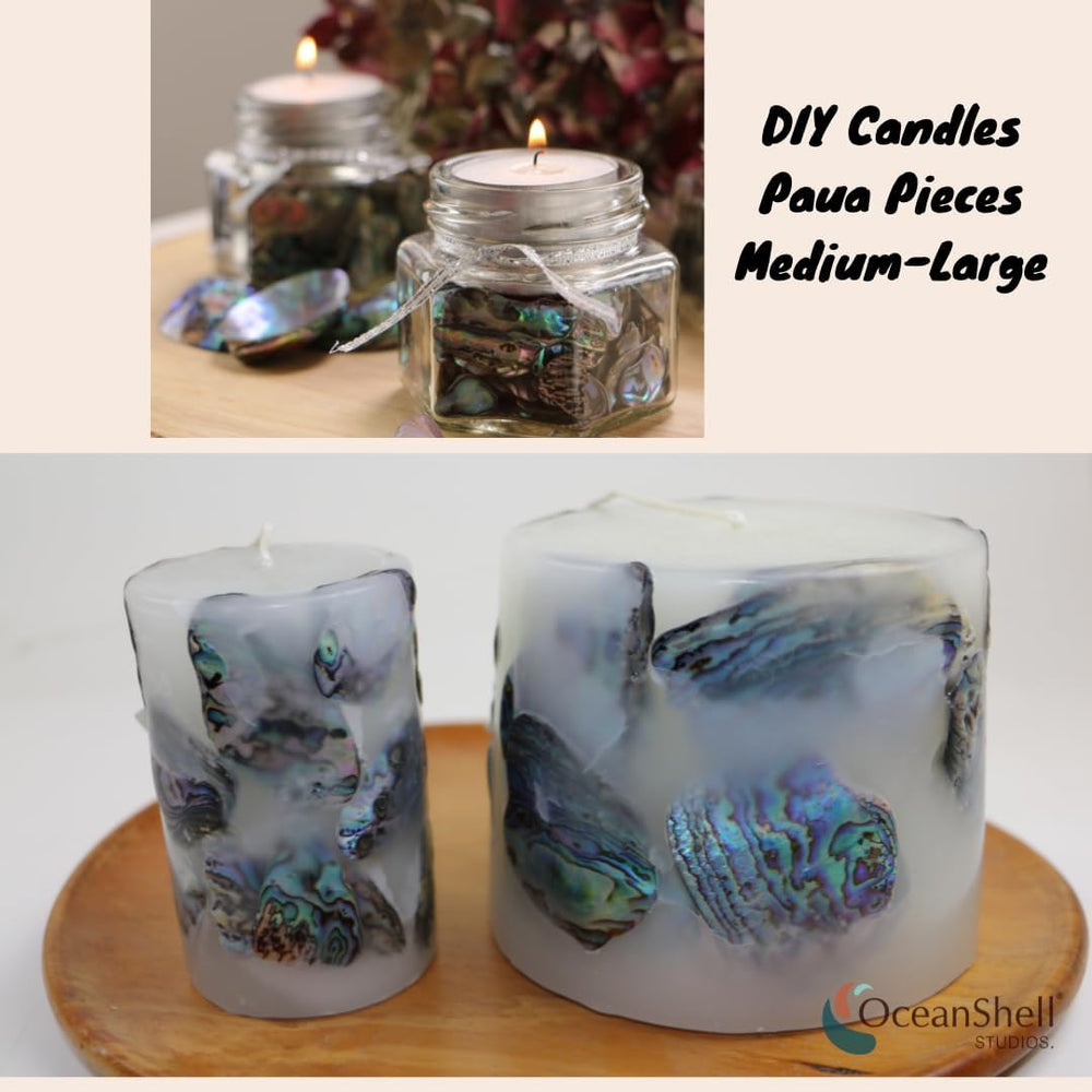 Abalone (Pāua) Shell Pieces-7.05oz Pack-for Crafts, Jewelry Making, Resin Art...