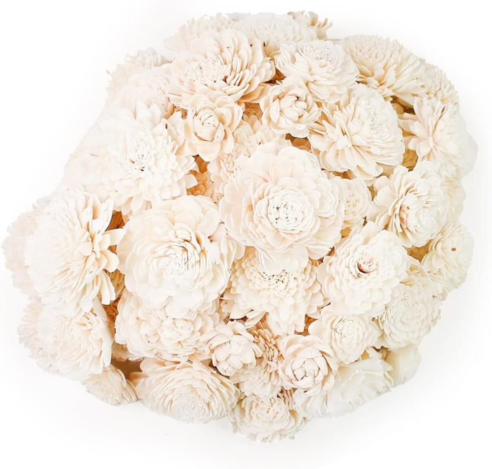 Sola Wood Flowers - Random Assortment (No Bark) - 100 pcs, Artificial Flowers...