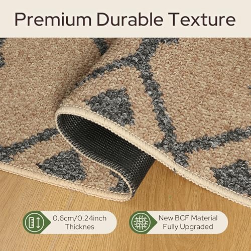 GENIMO Indoor Outdoor Area Rug 6X9, Non-Shedding, Machine Washable Mat for Pa...