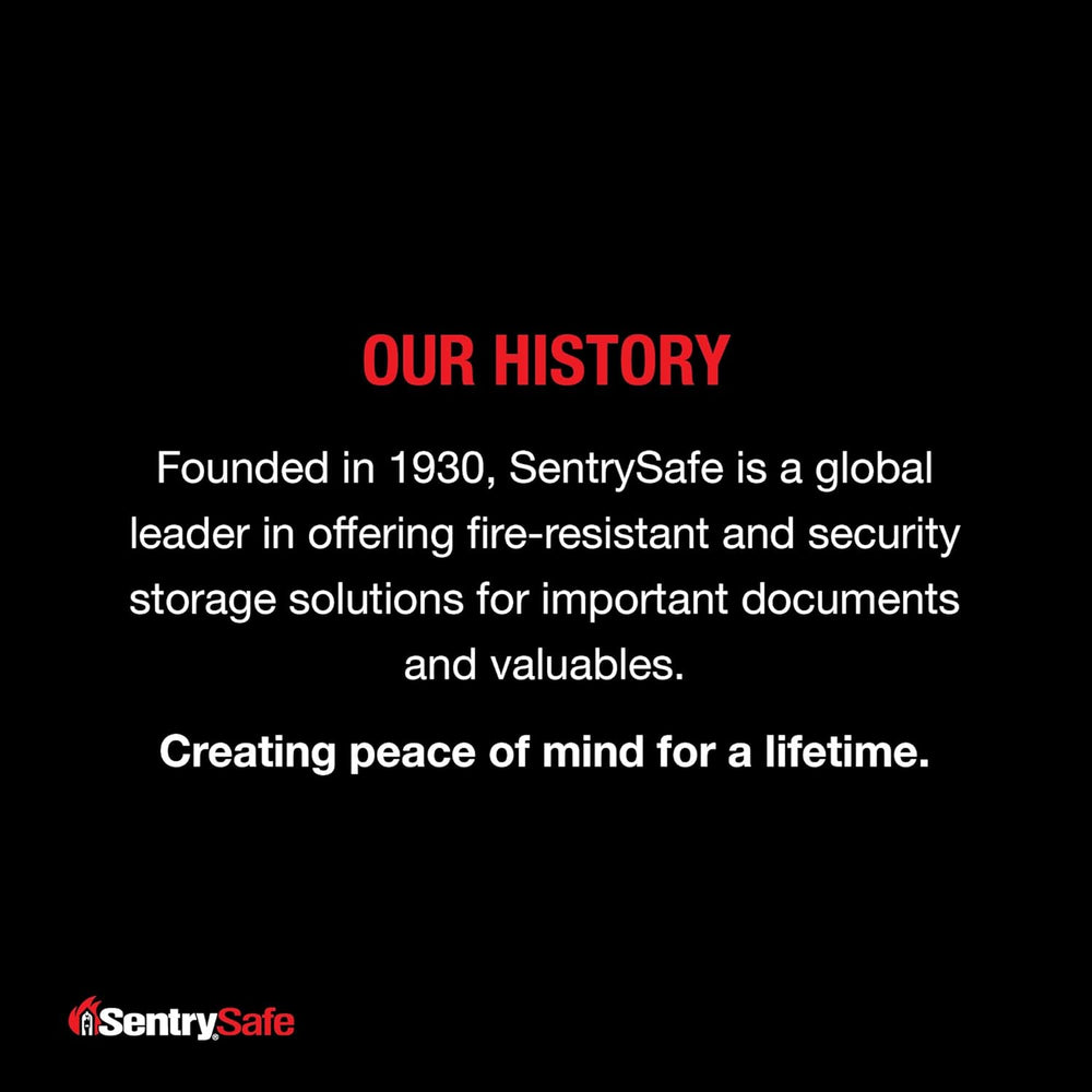 SentrySafe Black Fireproof and Waterproof Safe, File Folder and Document Box ...
