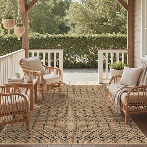 GENIMO Indoor Outdoor Area Rug 6X9, Non-Shedding, Machine Washable Mat for Pa...