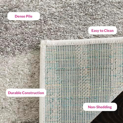 SAFAVIEH Adirondack Area Rug 8'x10', Modern Cream & Grey ADR125C