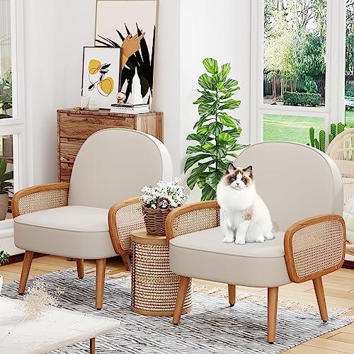 Aklaus Mid Century Modern Accent Chairs Set of 2 Upholstered Rattan Faux Leat...