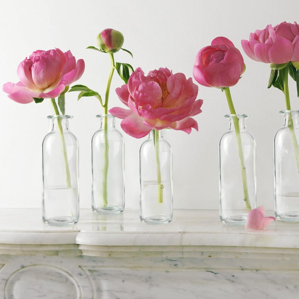 Clear Glass Bud Vase, 20 Pack 8 Oz Living Bud Vases, Small Vases for Flowers,...