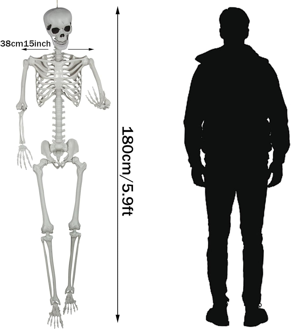 5.9ft Halloween Life Size Skeleton Realistic Full Body Skeletons Plastic Huma...