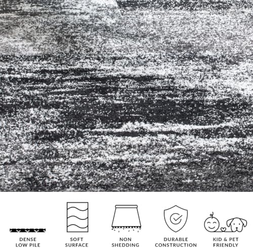 SAFAVIEH Adirondack Area Rug 8'x10', Modern Silver & Black ADR112A