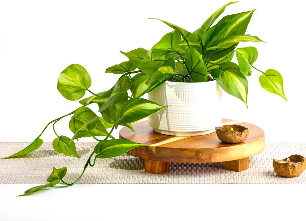 Kurrajong Farmhouse Dark Green Fake pothos | Fake Plant for Shelf Decor | Art...