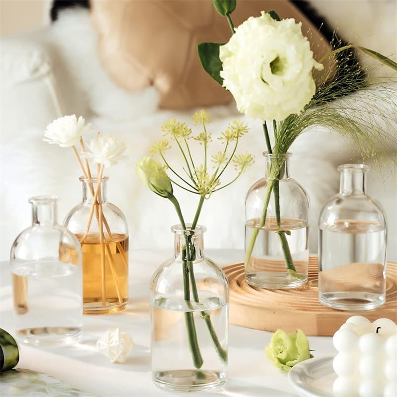 YOUEON 16 Pack Clear Glass Bud Vases, Small Bud Vases in Bulk, Glass Flower V...