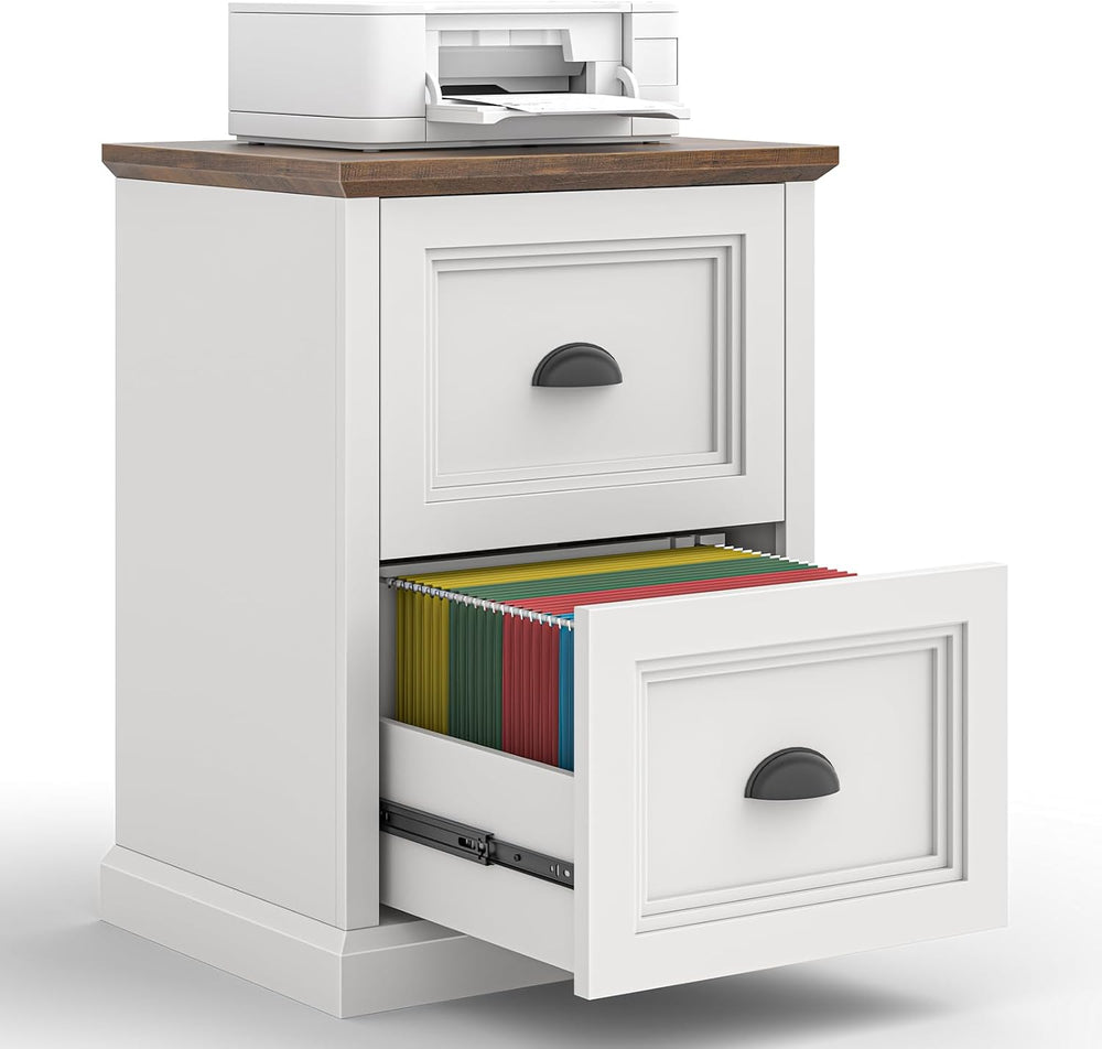 Halitaa Vertical File Cabinet with 2 Drawers for Home Office, White | Farmhou...